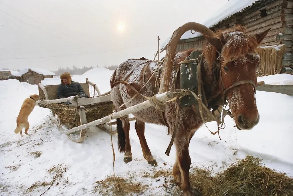 16 февраля на Руси отмечались Починки. Фото © ТАСС / В. Матыцин