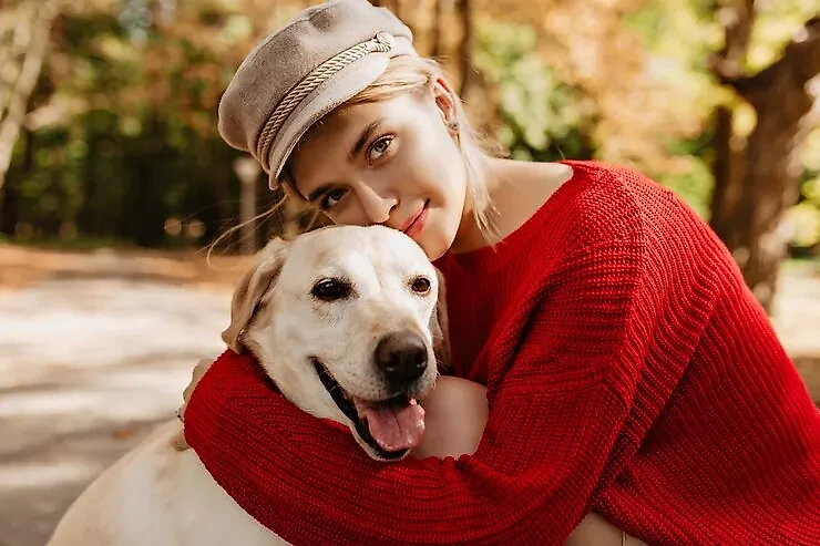 Кинолог Голубев: Собаки подстраивают своё поведение, чтобы хозяин был доволен. Обложка © Freepik / lookstudio