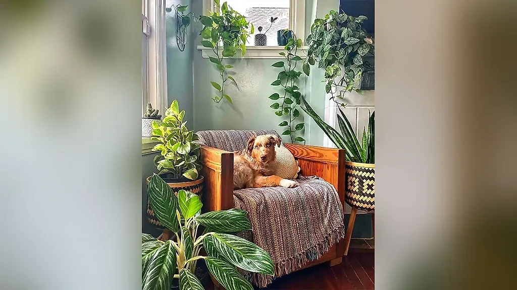 Фото © Reddit / SisVicious3216