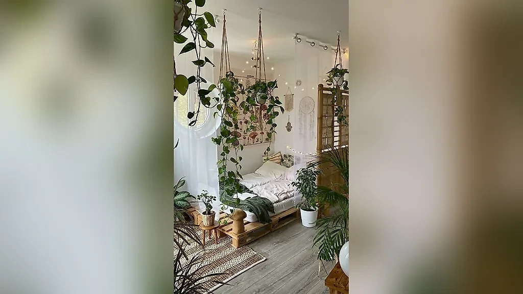 Фото © Reddit / auradasos