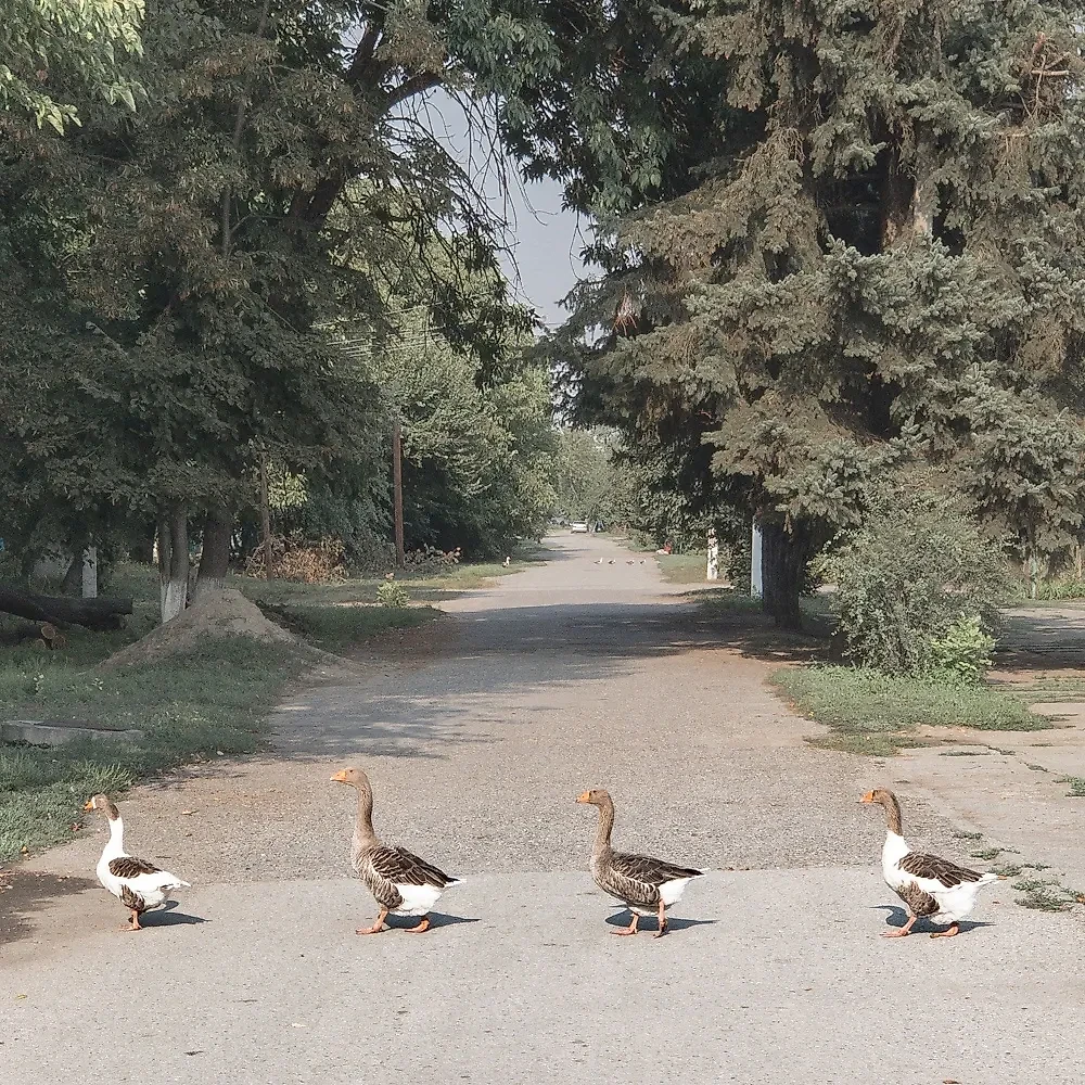 Российская провинция на снимках Дмитрия Маркова. Фото © VK / Дмитрий Марков