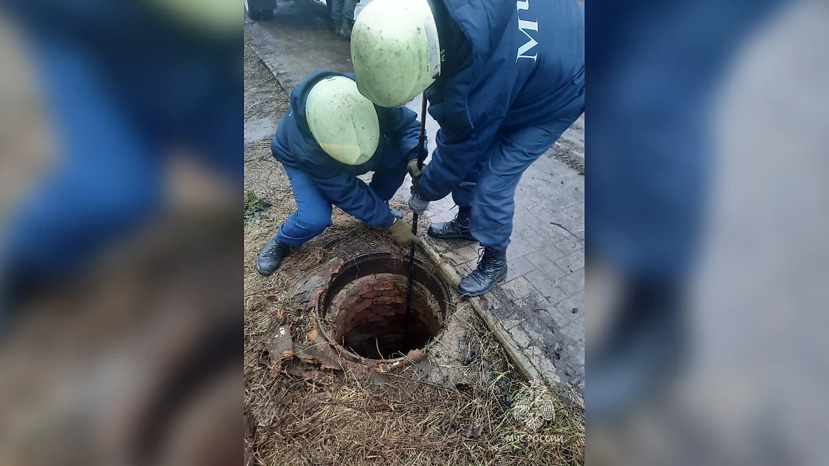 Сотрудники МЧС спасают собаку. Фото © T.me / МЧС России