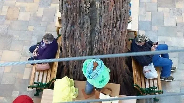 Фото © Reddit / bigred1987