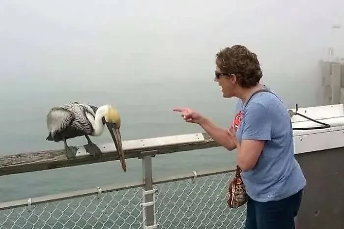 Фото © Reddit / Schnarf_Shnarf