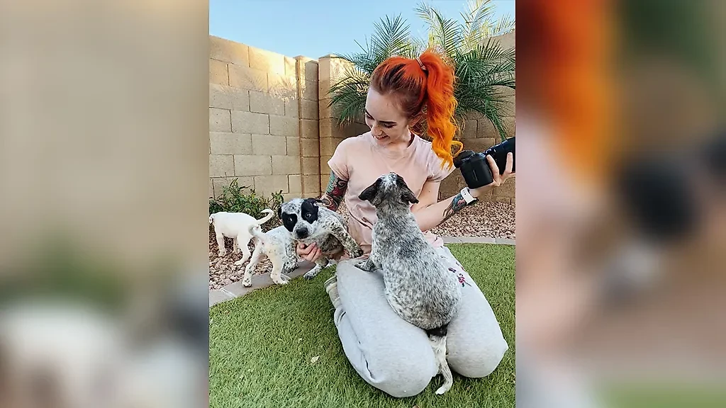 Фото © Reddit / citizenofbrutopolis