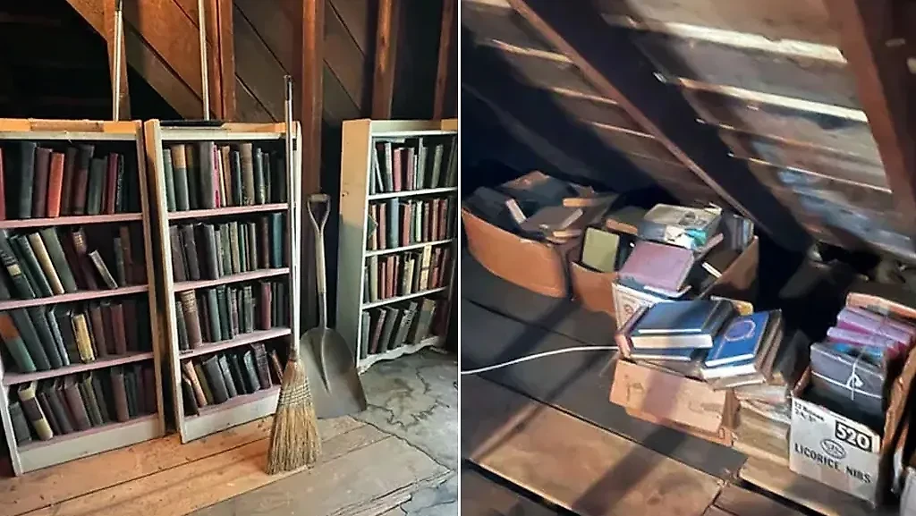 Фото © Reddit / swidge