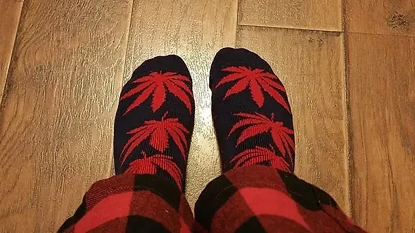 Фото © Reddit / effthegreen