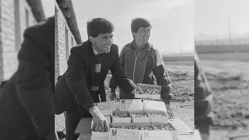 Выяснилось, что у аллергиков, дающих реакцию на куриное яйцо, перепелиные яйца аллергию не вызывают. Фото © ТАСС / К.Мурадов, А.Чарыев