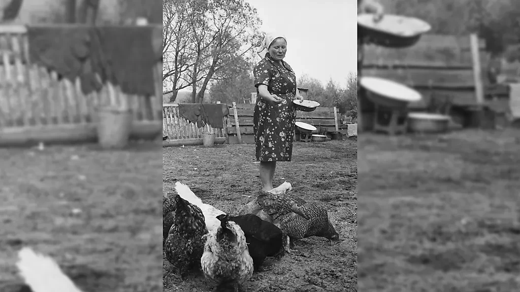 Начиная с 1941 года с каждого колхозного или совхозного двора крестьяне были обязаны сдать государству определённое количество яиц. Фото © ТАСС / Юрий Ильенко, Владимир Фалин
