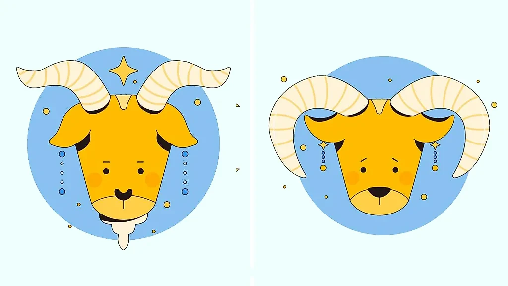 Совместимые знаки зодиака — Козерог и Овен, ведь такие мужчины и женщины с каждым днём любят друг друга всё сильнее. Фото © Shutterstock / FOTODOM