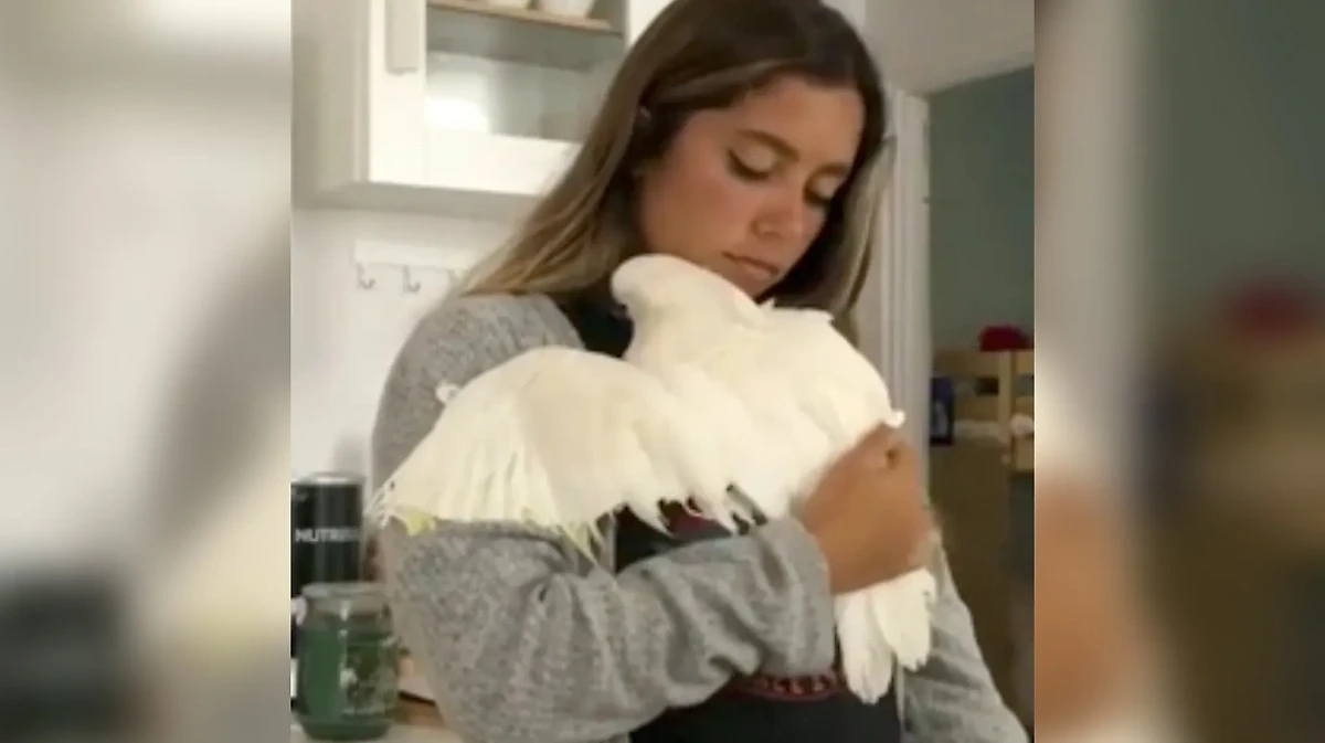 Фото © Reddit / SpecterAscendant