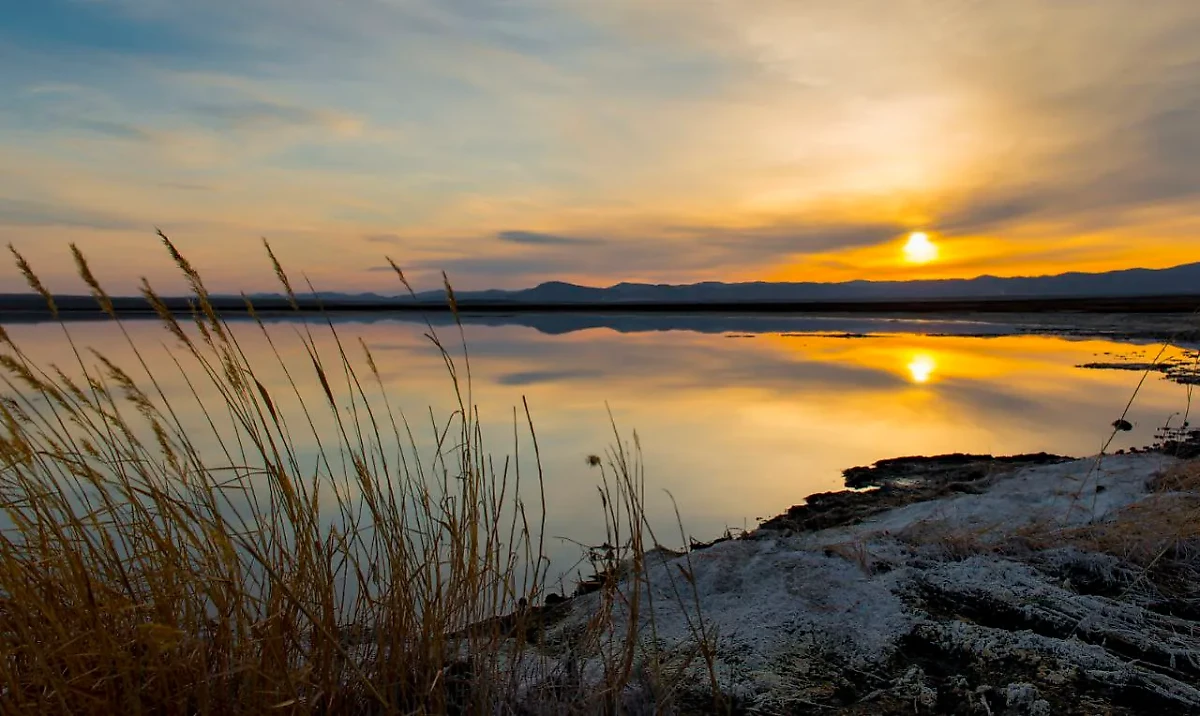 Фото © Пресс-служба РУСАЛа