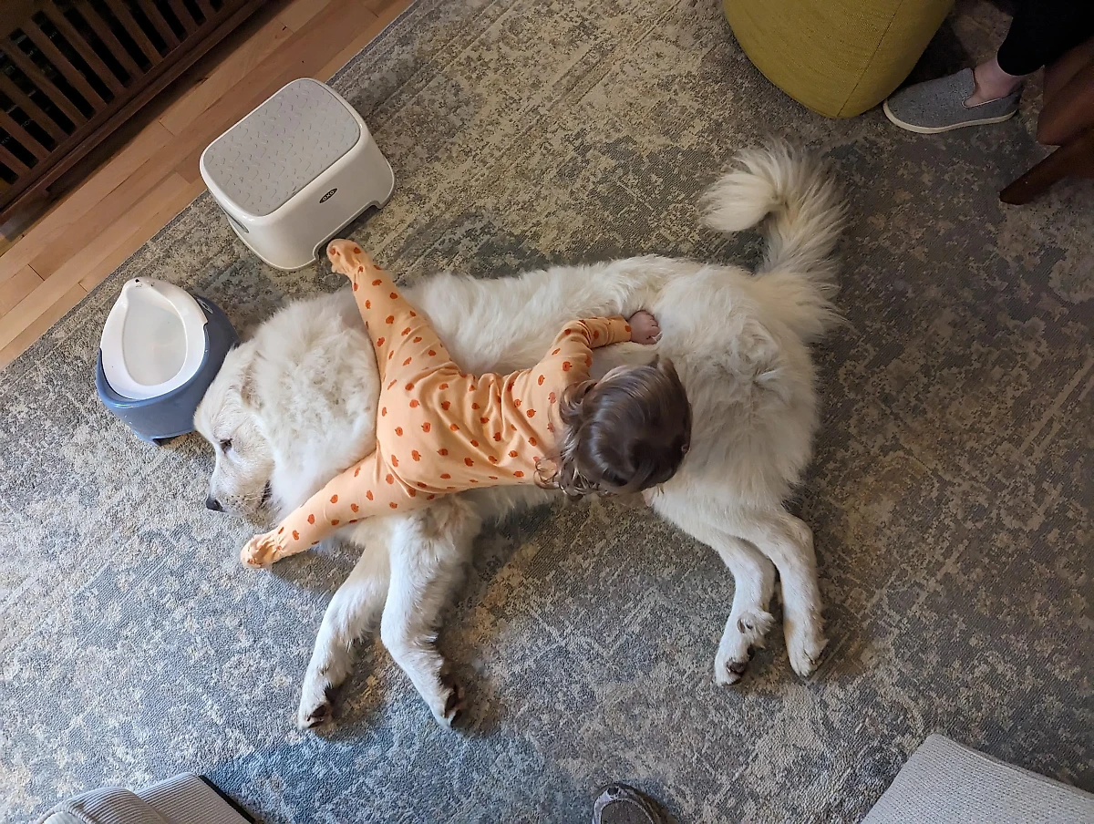 Фото © Reddit / Euphoric-Still-6066