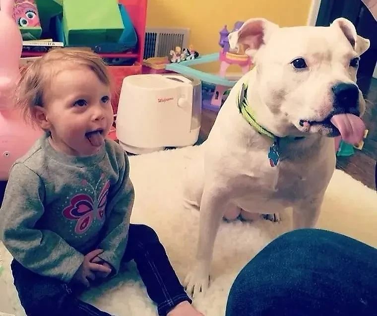 Фото © Reddit / fthursdayee