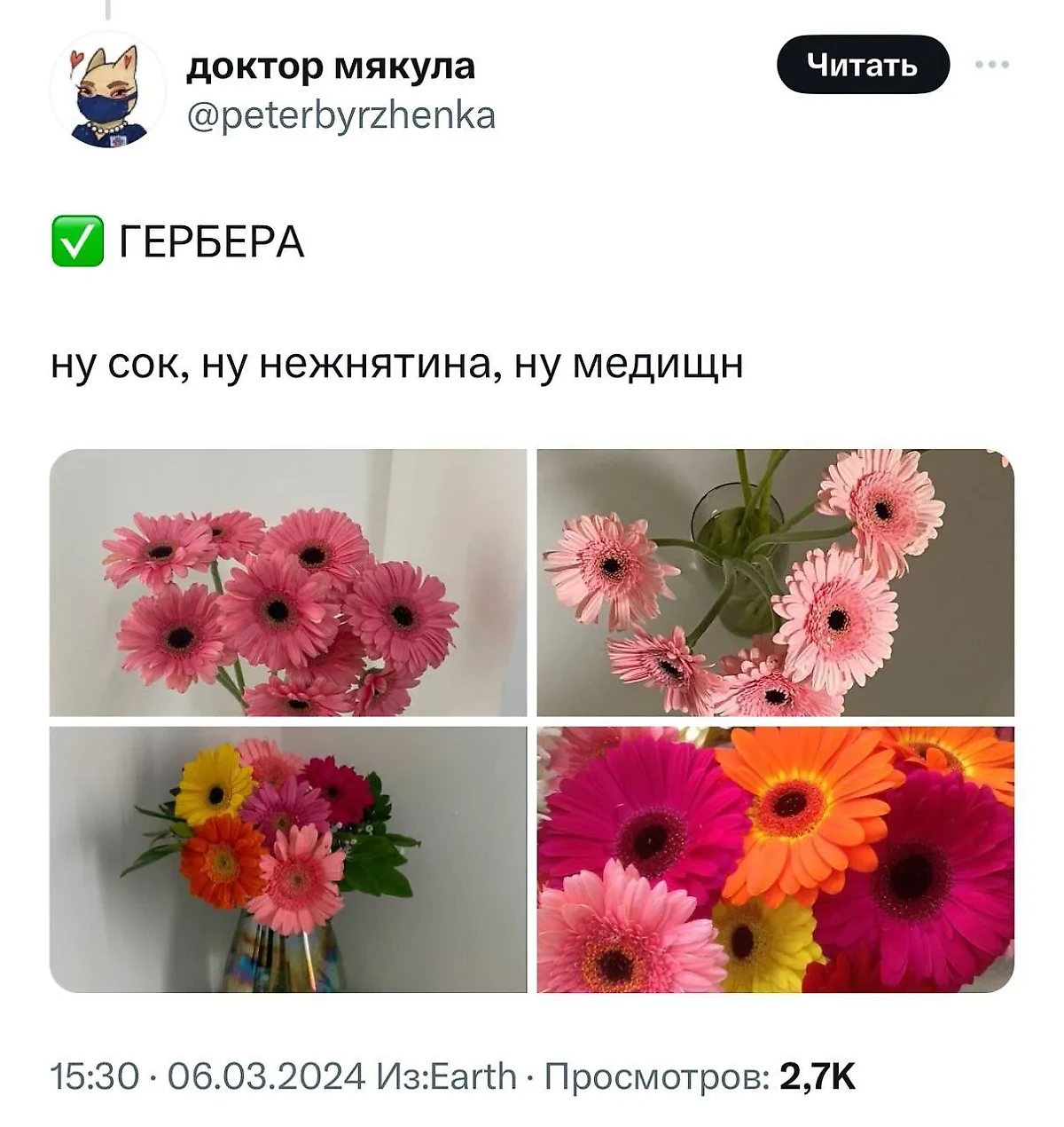 Фото © X / peterbuzhenka