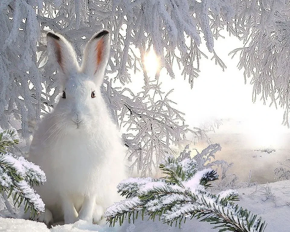 подпись к фото