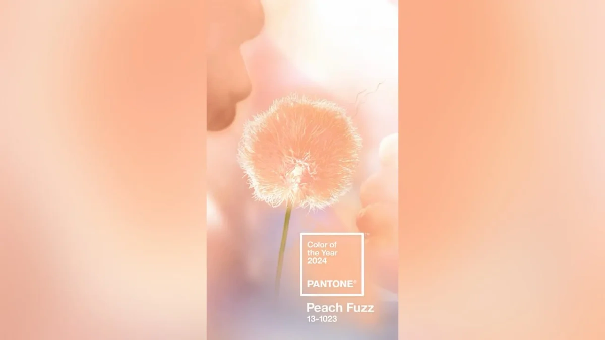 "Персиковый пушок" — цвет 2024 года Обложка © Instagram (соцсеть запрещена в РФ; принадлежит корпорации Meta, которая признана в РФ экстремистской) / Pantone