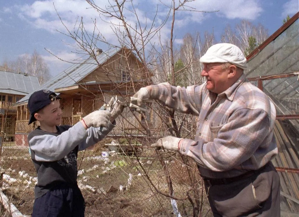 Дети в СССР помогали взрослым по хозяйству. Фото © ТАСС / Владимир Зинин