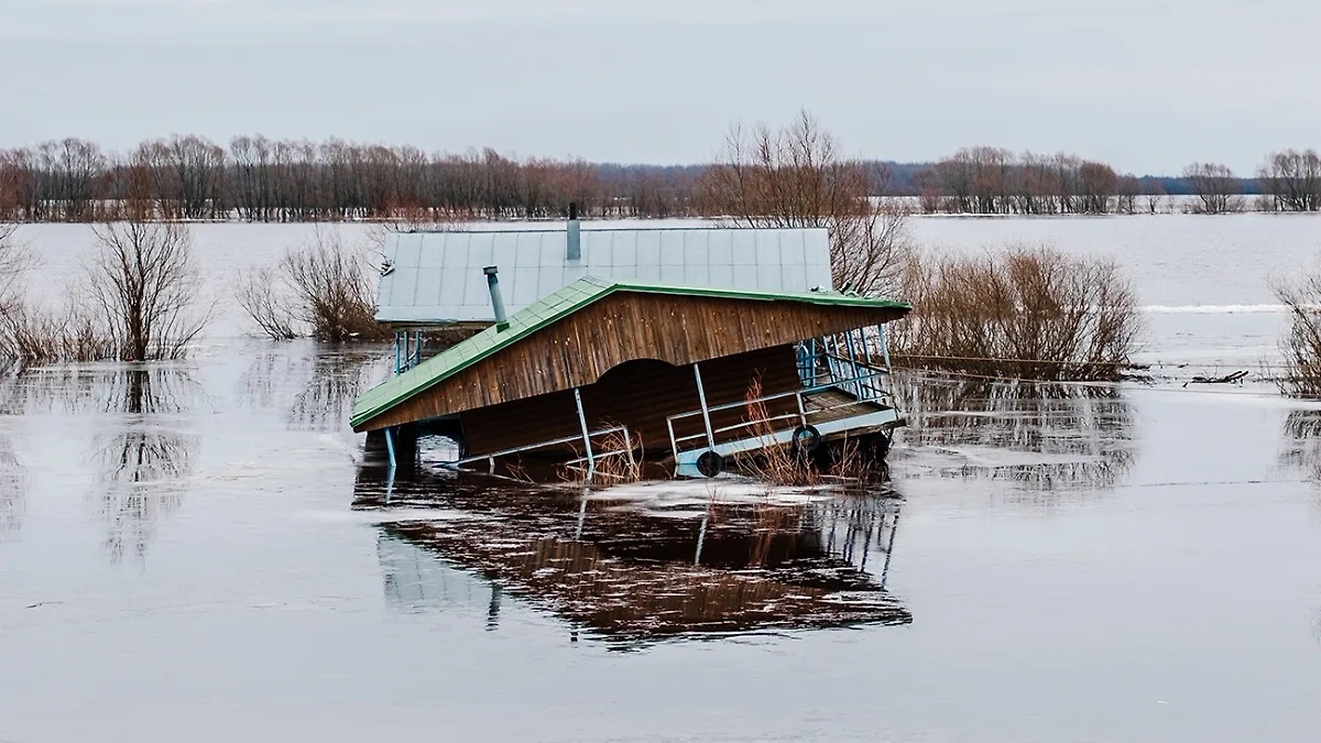 Обложка © Getty Images / Nickzudwa