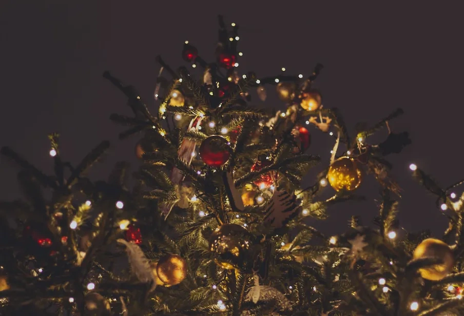 От живой новогодней ёлки можно подхватить орнитоз. Обложка © Unsplash