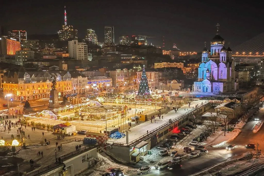 Зимний Владивосток. Обложка © ТАСС / Юрий Смитюк