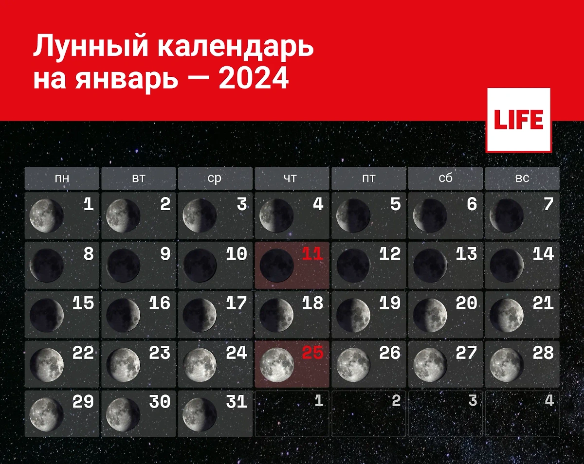 Календарь фаз Луны в январе 2024 года. Инфографика © LIFE