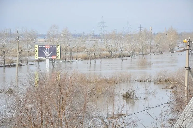 Паводок в Курганской области. Обложка © Telegram / Инцидент Курган | ЧС | ЧП | ДТП | Жесть