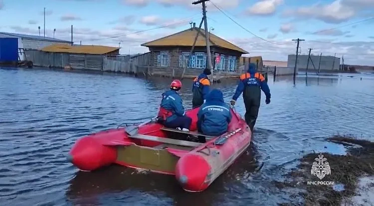 Паводок в Курганской области. Обложка © Telegram / МЧС Курганской области