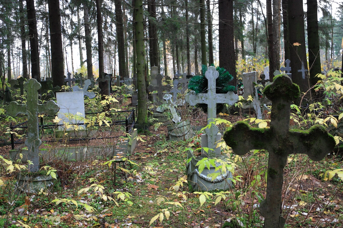 Согласно славянским поверьям, могилы лучше посещать утром. Обложка © Shutterstock / FOTODOM