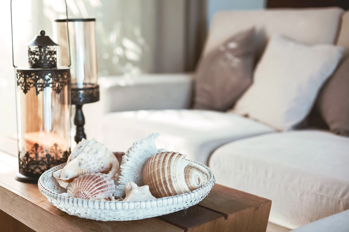Ракушки — неудачные предметы для дома, поскольку они несут в себе мёртвую энергетику. Фото © Shutterstock / FOTODOM