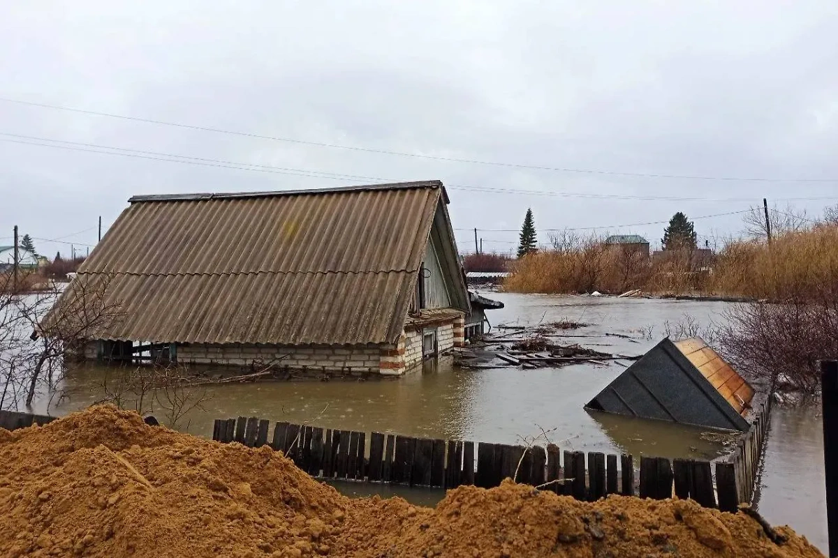 Уровень воды в Тоболе у Кургана поднялся на полметра и почти достиг 800 см. Обложка © Telegram / Город Курган