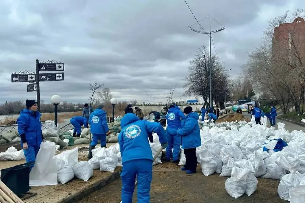 Более 100 добровольцев со всей страны работают в Курганской области. Обложка © Telegram / UrFO_INFO