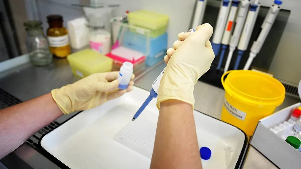 Исследование клещей на наличие антигена вируса клещевого энцефалита в лаборатории. Фото © ТАСС / Юрий Смитюк