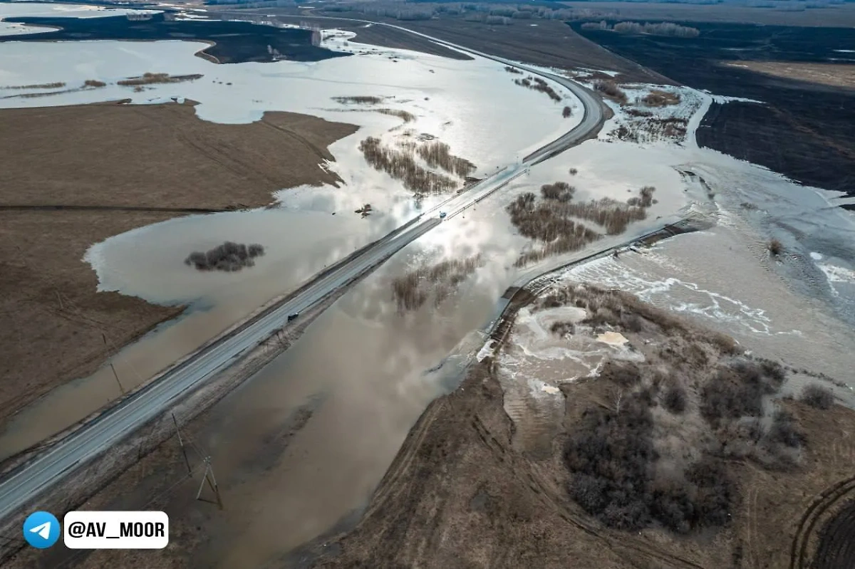Паводок на реке Ишиме в Тюменской области. Фото © Telegram / Александр Моор