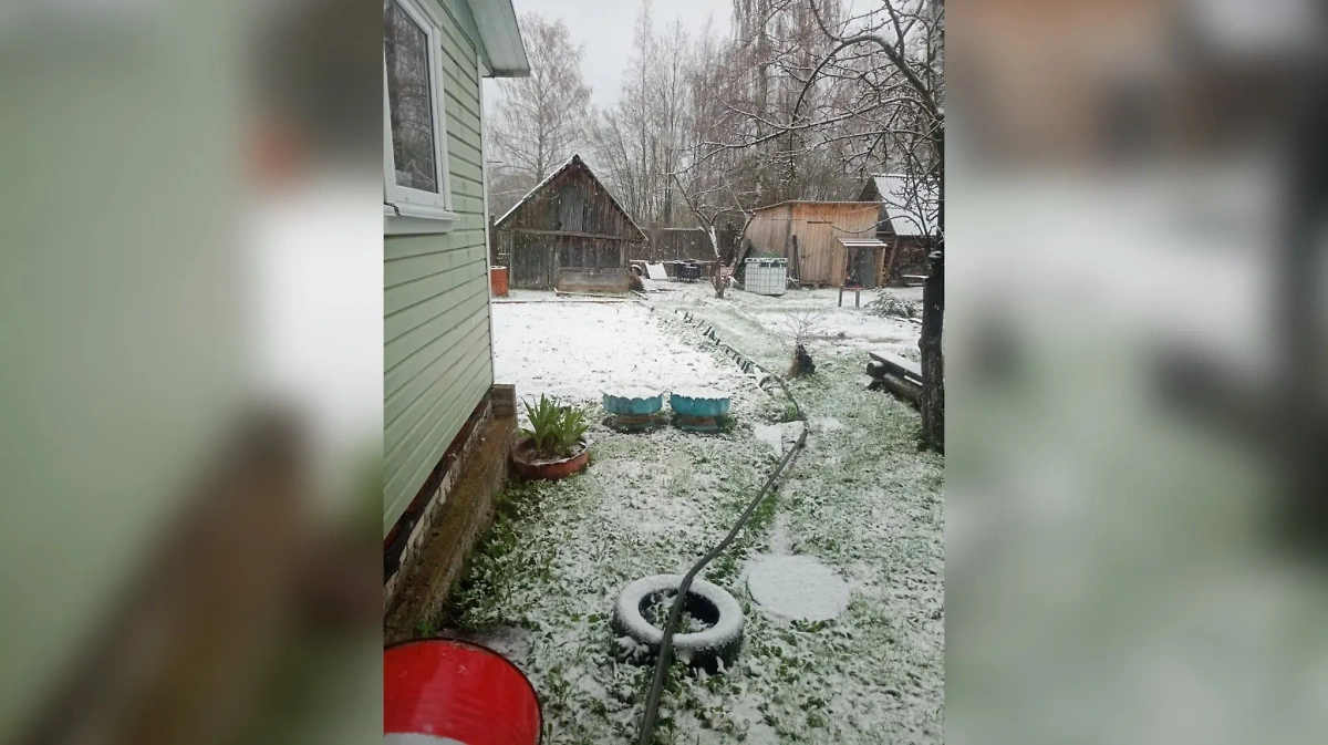 Выпавший снег на жилом участке в Тверской области. Обложка © VK / News 69 / Виктор Глотов