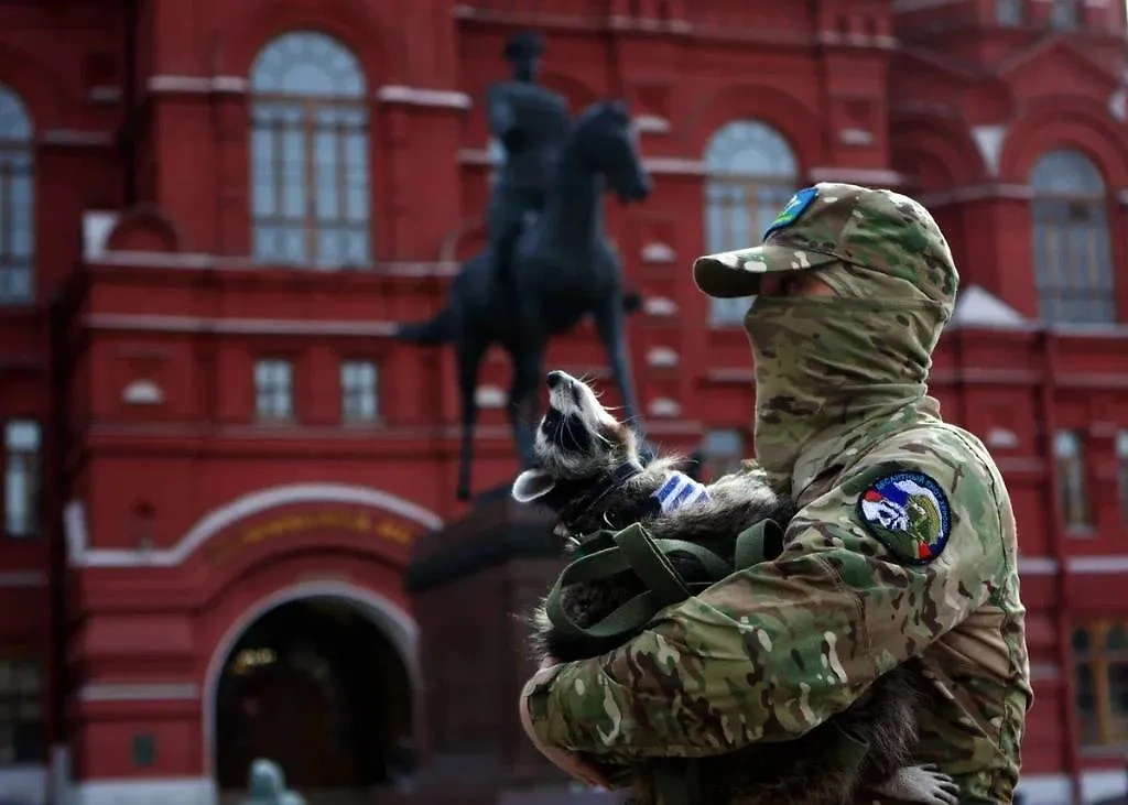 Енот Херсон. Фото © Херсонское агентство новостей