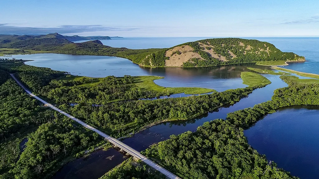 Обложка © ТАСС / Юрий Смитюк