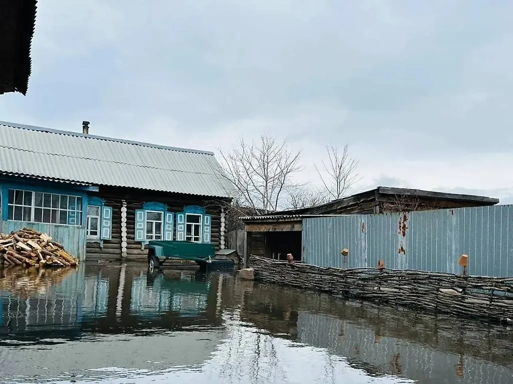 Посёлок Звериноголовский. Обложка © Telegram / СилаVправде (V. Шумков)   