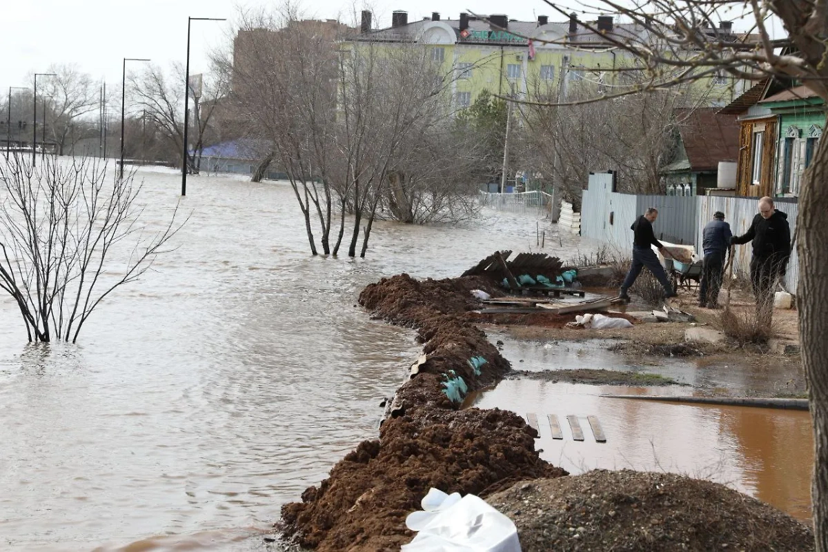 Паводок в Оренбурге. Обложка © Life.ru / Илья Исаев