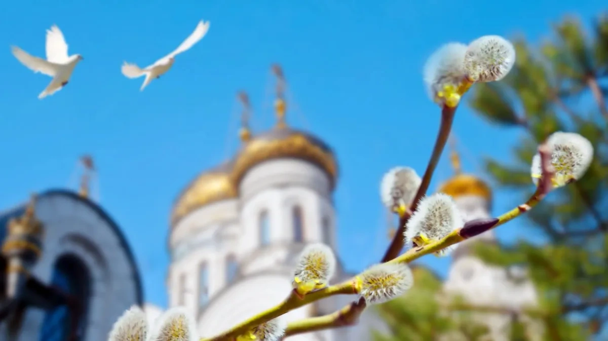 Что нельзя делать с веточками вербы на православные праздники? Фото © Shutterstock / FOTODOM