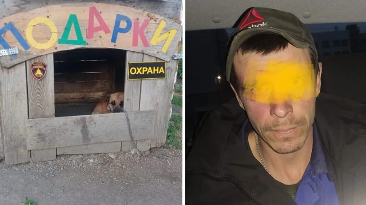 Собака, которую выгнал из будки осуждённый уралец, и сам "герой". Обложка © VK / Гуфсин-России По-Свердловской-Области