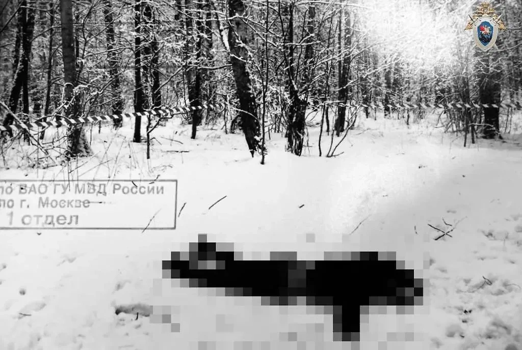 Тело девушки, убитой в Измайловском парке в Москве в 2012 году. Обложка © Telegram / Столичный СК