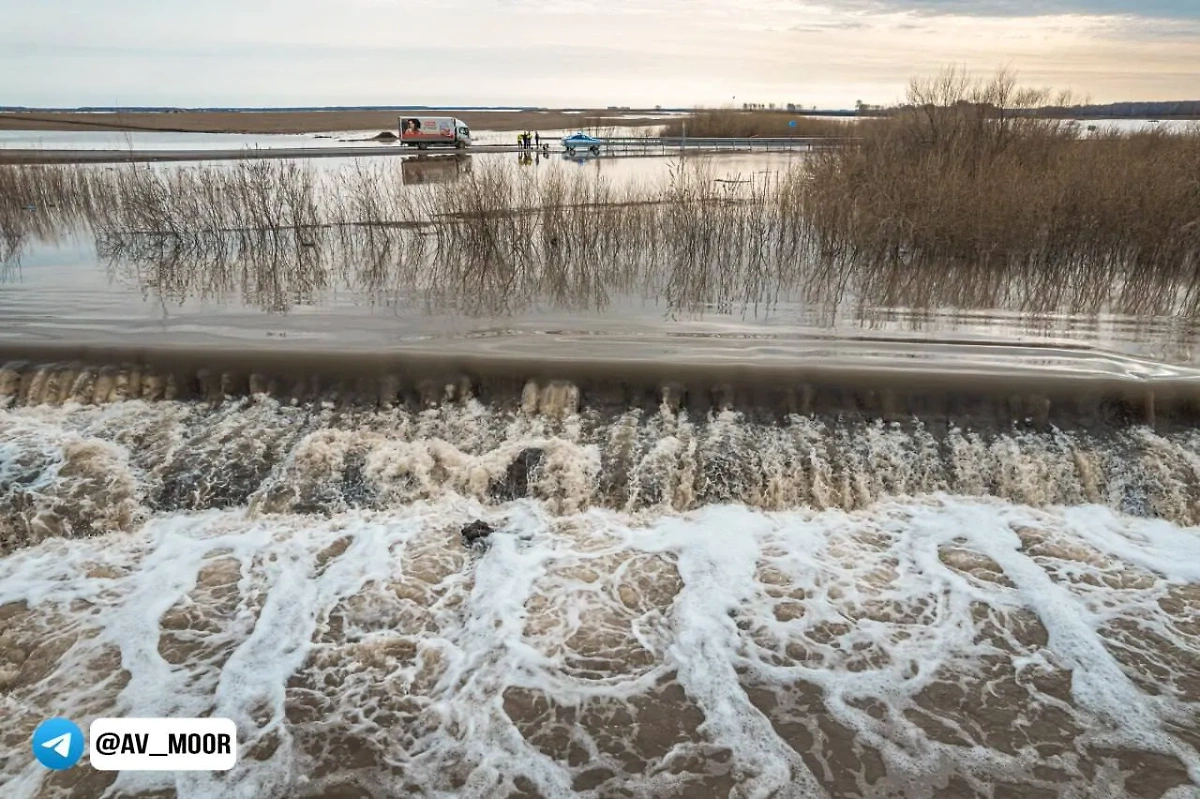 Уровень воды в реке Ишиме в Тюменской области достиг критериев опасного явления. Обложка © Telegram / Александр Моор
