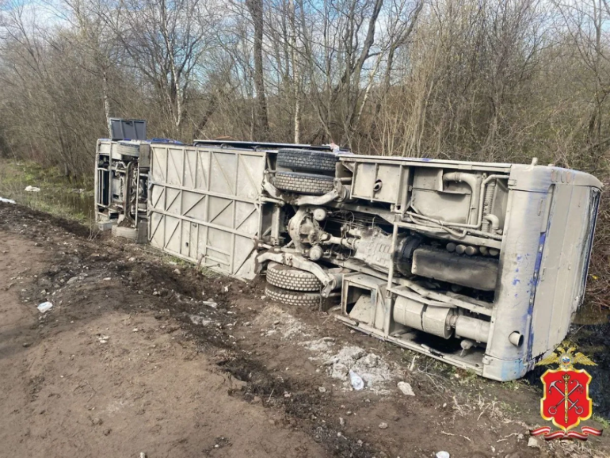 Автобус, который попал в аварию в Ленинградской области. Обложка © Telegram / Петербургская полиция