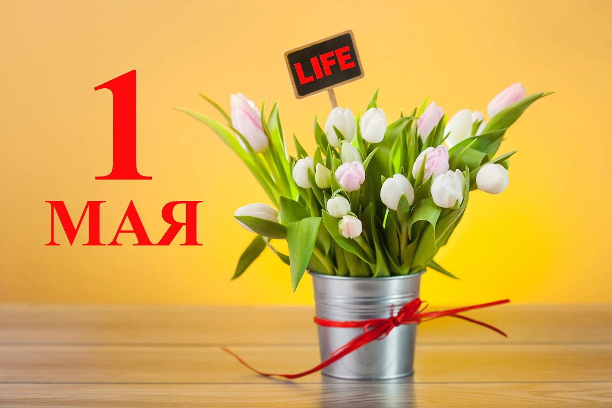 Первомайские выходные: как работаем и отдыхаем в первые майские праздники. Коллаж © Life.ru, изображение от gpointstudio на Freepik