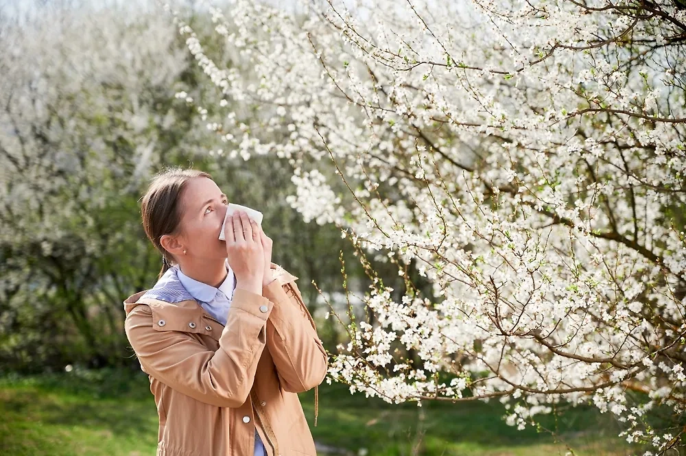 Сезонная аллергия на пыльцу может перерасти в перекрёстную пищевую, предупредила врач. Обложка © Shutterstock / FOTODOM