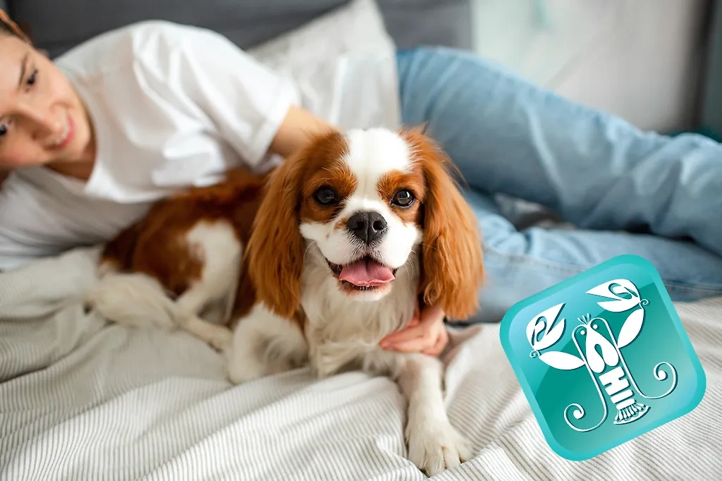 Какая порода собак лучше всего описывает Раков? Фото © Shutterstock / FOTODOM