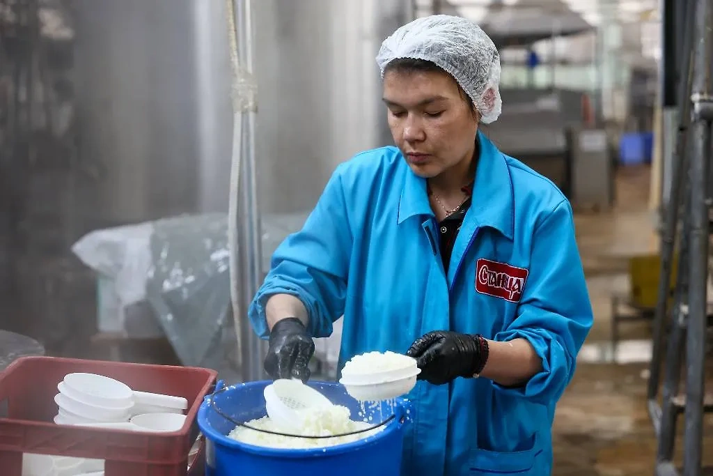 Производство молочной продукции на предприятии. Обложка © ТАСС / Александр Река