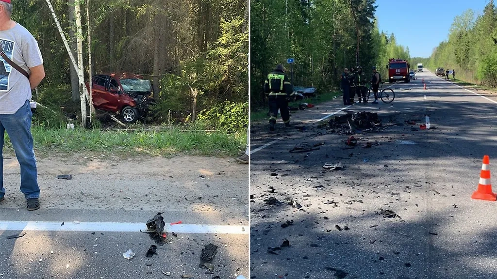 Последствия ДТП на трассе в Ленинградской области. Фото © Telegram / Петербургская полиция
