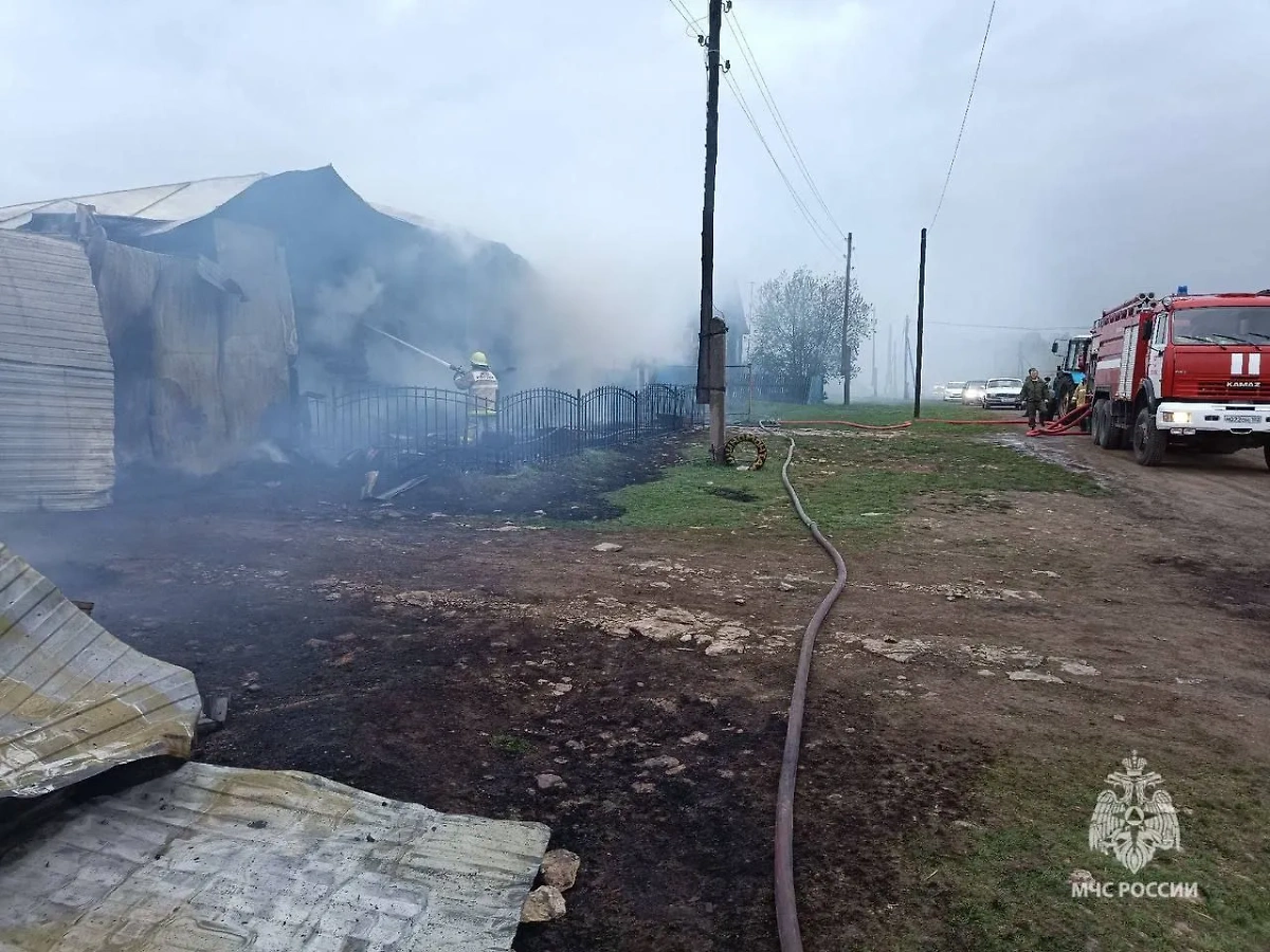 Ребёнок погиб при пожаре в доме в башкирском селе Михайловка. Обложка © МЧС Башкортостан